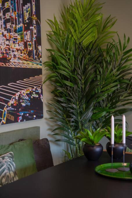 Super Anadia - Olive Apartment Funchal  Ngoại thất bức ảnh
