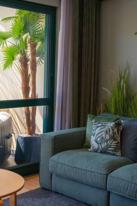 Super Anadia - Olive Apartment Funchal  Ngoại thất bức ảnh